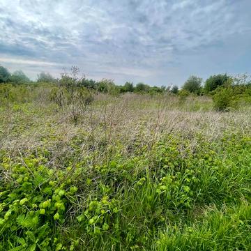 Миколи Лисенка вул.