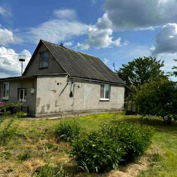 Дом с газом с. Гречаное. Большой участок земли