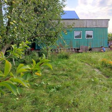 Продам дачу с. Вільне Броварського району