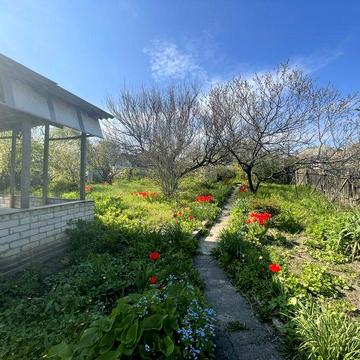 Два будинки - Запоріжжя Ліве 19500$