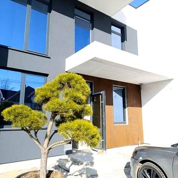 Котедж Сокільники