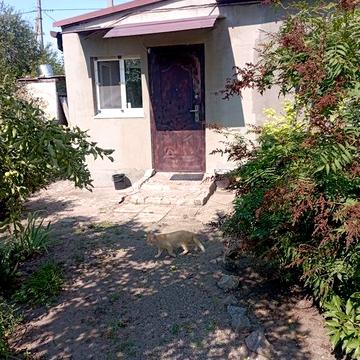 Продаж будинку ви.Перещепине