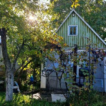 Продам дачу в кооперативе "Протон"