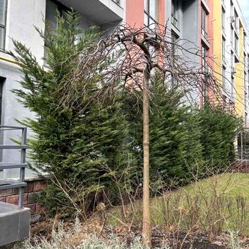 Продам 1 ком квартиру в газовом доме