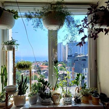 Аркадия! Двухкомнатная! Вид на море! Можно Госпрограммы!