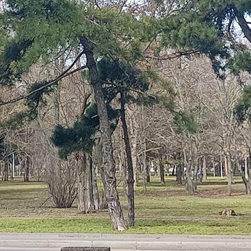 В продаже 2 ком. квартира в  Ботаническом переулке/пр.Шевченко!