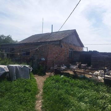 Дом с колодцем ферма продажа аренда