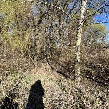 дахнівська, 24