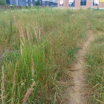 Вокзальна вул.