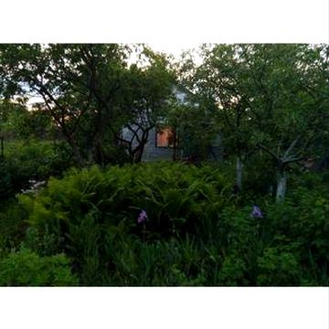 Дача в селі Гайове продам