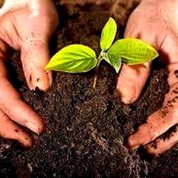 продам ЗЕМЕЛЬНУ ДІЛЯНКУ  в с.Судилків