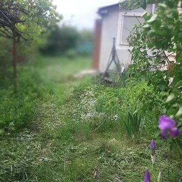 Здам будинок -дача Мотижин . Добропарк