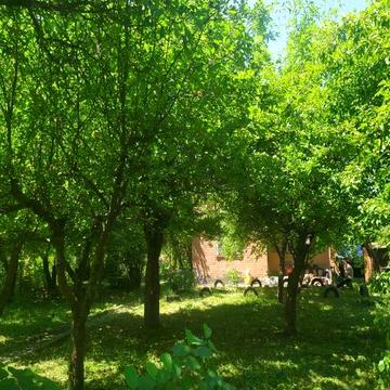 Дача! Терешки "Золоті піски!"