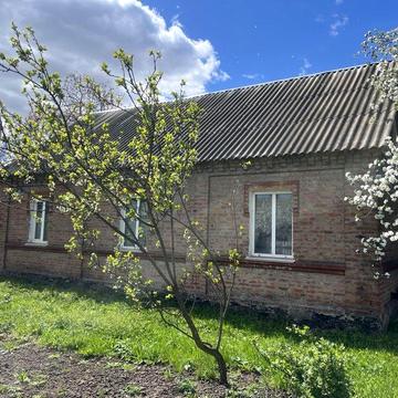 Продається дім Козятин 20 хв від центру провед. газ, каналізація, вода