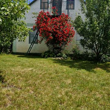 Будинок 80 кв. 15 сот.  гараж та інш