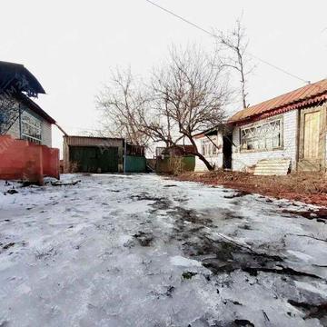 с. Дубина. Будинок в оточенні соснового лісу.