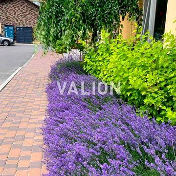 Продаж 3 к. кв. ЖК Софія Резиденс вул. Щаслива Софіївська , програми ЖК Софія Резиденс