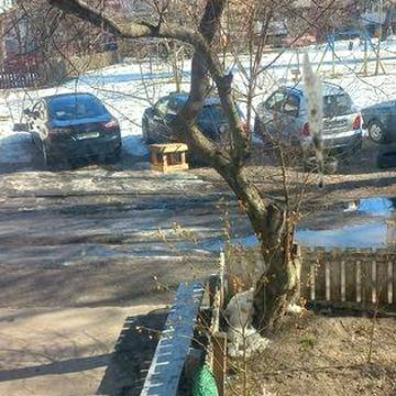 Здам 2х кім польва