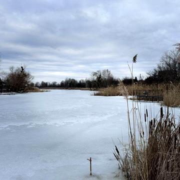Продаж дачного будинку на березі р. Вільшанка