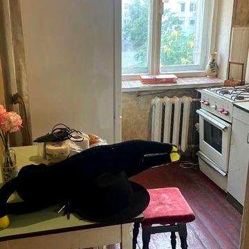 Сдам 2к.кв. Своя. Центр,цум, жилое.