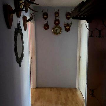 Здається 2-х кімнатна квартира місто Калуш