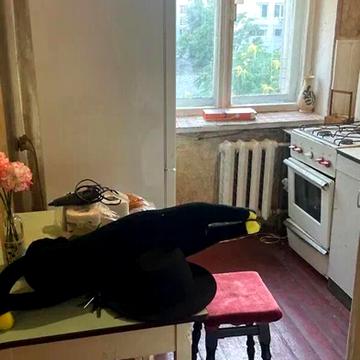 Довгострокова оренда 2к Квартира Мечникова вулиця