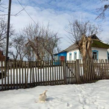Будинок в селі Лісовичі