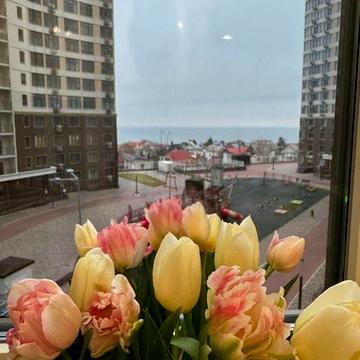 Каманина 32 Жемчужина Вид моря До лета