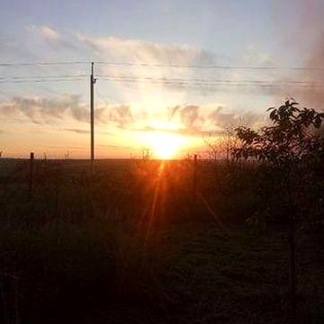 Дача Медучилище Пзто