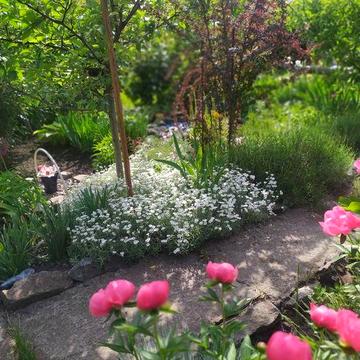 Продам дачу на м Зарічний