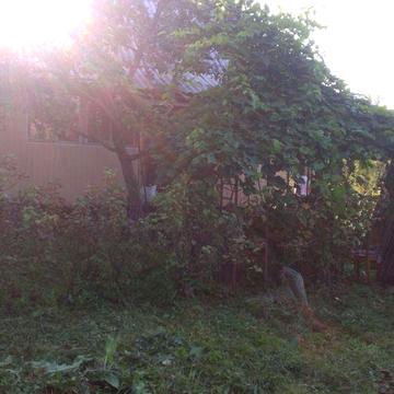 Дачний будинок на 2-х ділянках (10 соток) в тихому мальовничому місці