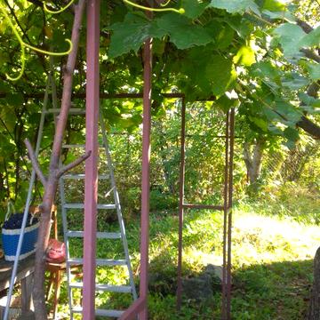 Дачний будинок на 2-х ділянках (10 соток) в тихому мальовничому місці