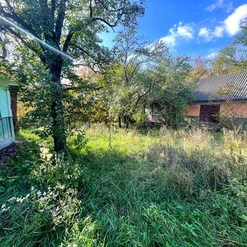 Продам господарство с. Коновка