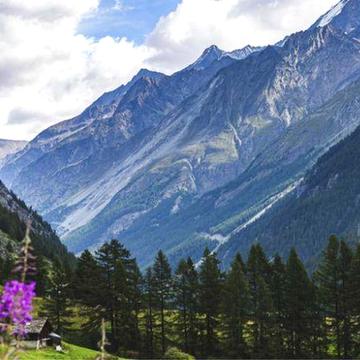 В горах ліс чани сауни басейни будинки