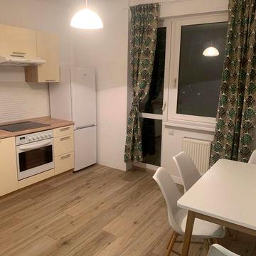 Здається 1 кімнатна квартира, Боярка на кругу