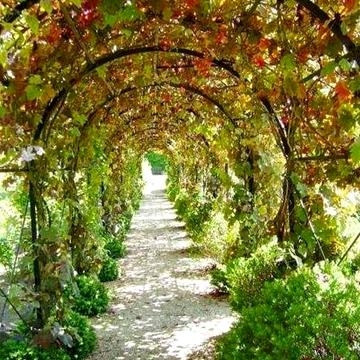 Сдам дом 3 к 70 м Туристская/Кардонная ,6 соток, гараж.Животных можно!