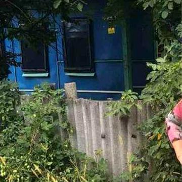 Будинок з земельною ділянкою