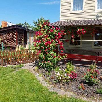 Сдам дачу в Обуховке