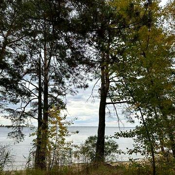 Участок огорожен 10Га на берегу Киевского моря