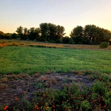 Гагаріна, 12