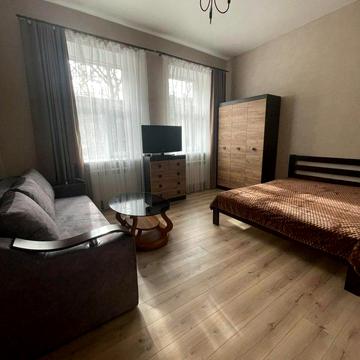 Святослава Караванського вул. (Жуковського), 17