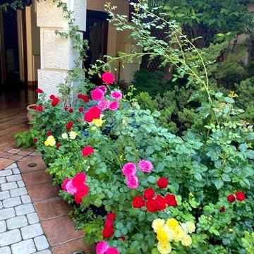 Продам дом на ул. Телевизионной