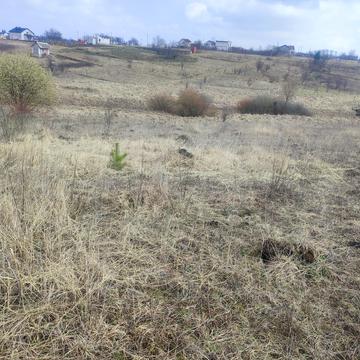 Філармонія, Хмельницький, Хмельницька область 6000.0 USD