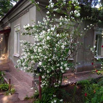 Продається котедж