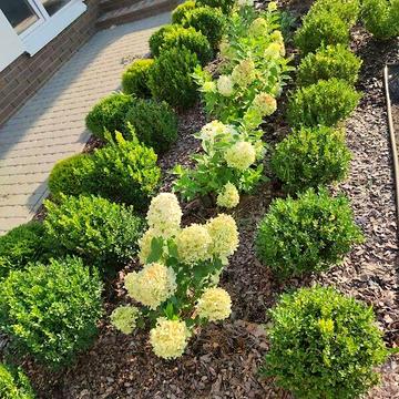 Продаж 4к Дім Косівщинський шлях вулиця ЖК Титул