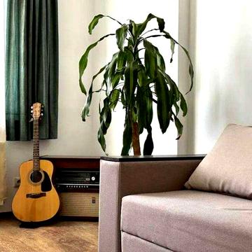 Оренда 1-к квартири на вул. Сиваська