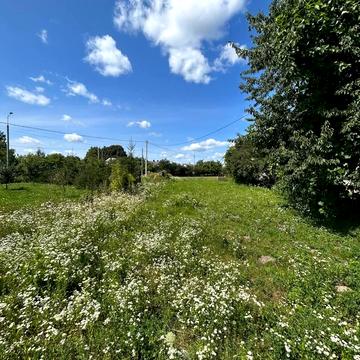 Корнії вул., 195а