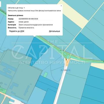 Велика Олександрівка, Бориспільський, Київська область 500000.0 USD