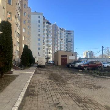 Здам 1-ну квартиру,р-н тц проспект