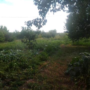 Продам дом в селі